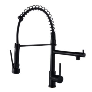 Naledi Black XL Kitchen Faucet