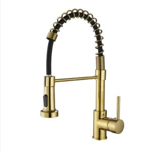 Naledi gold spring kitchen mixer