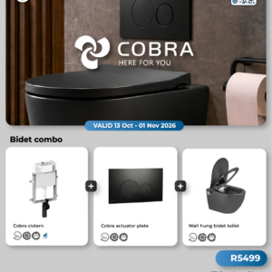 Bidet combo